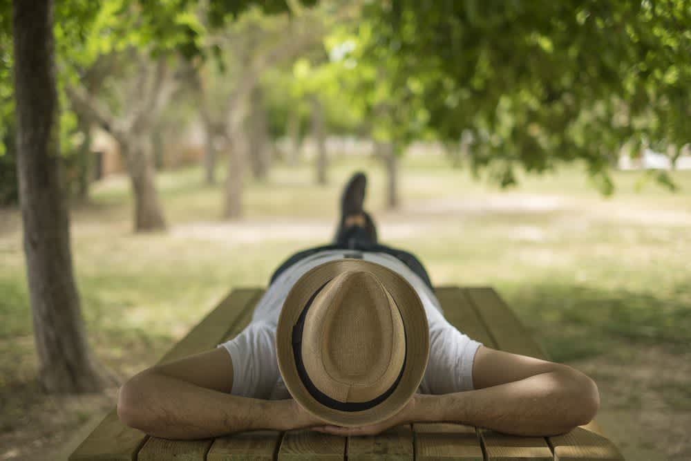 man napping under a tree