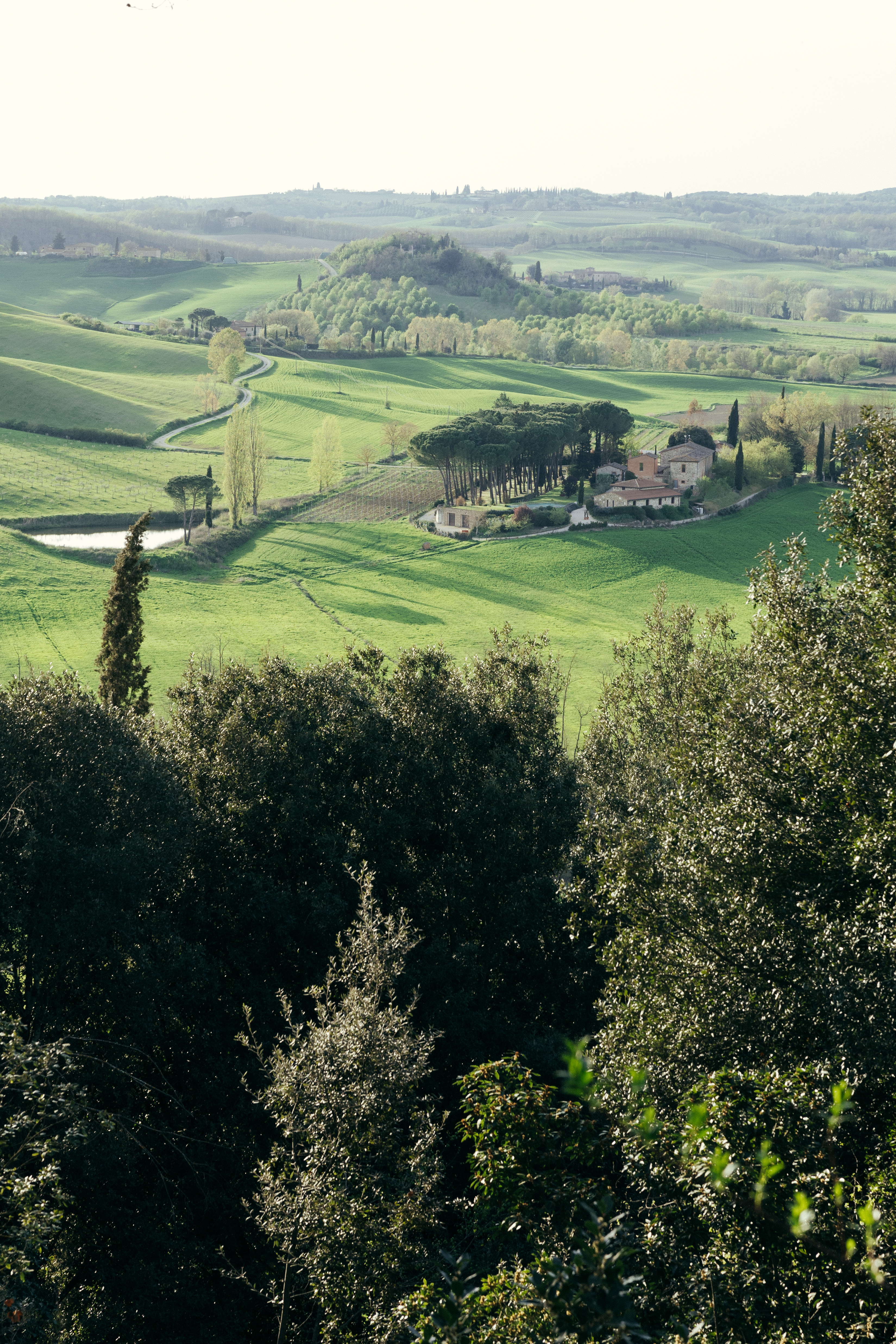 rolling hills view of tuscany