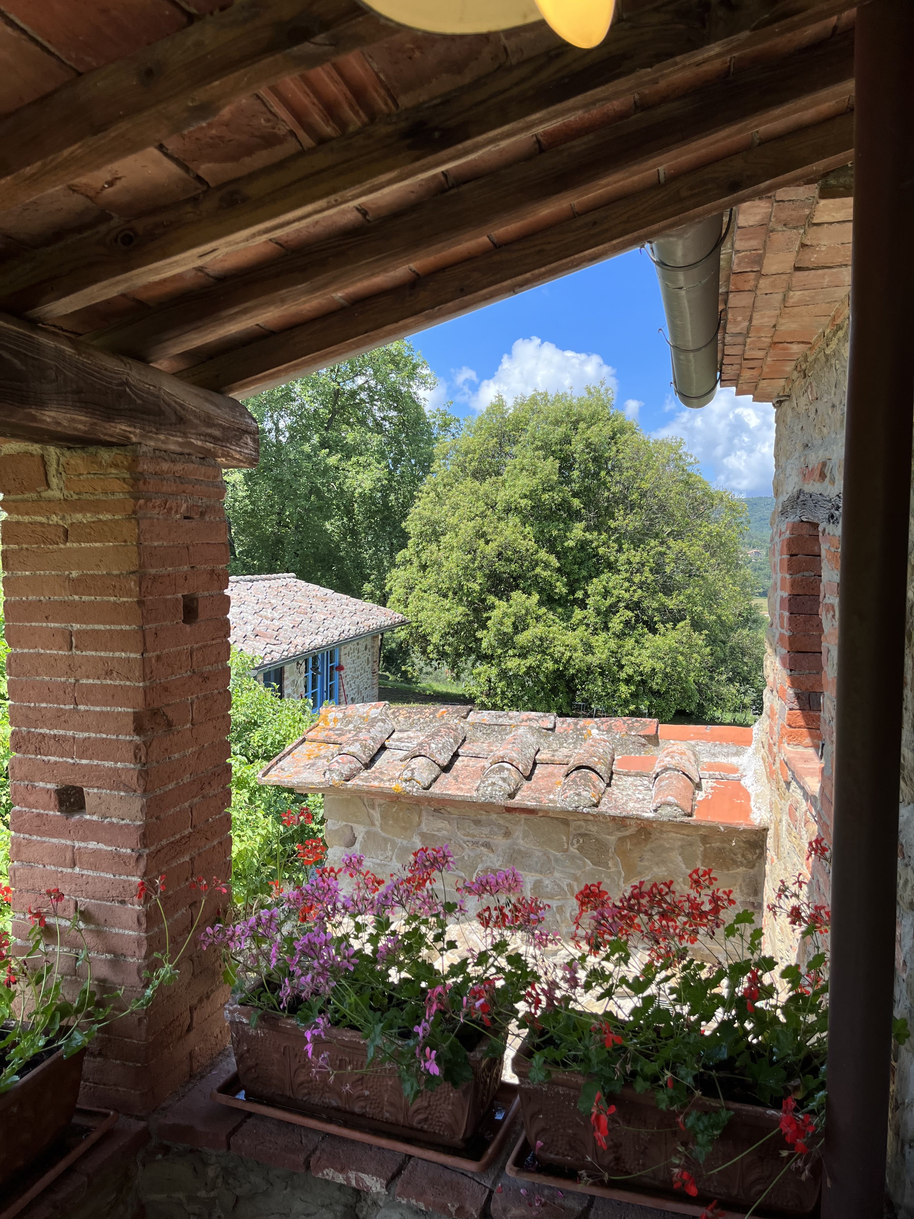 view from a room at maraviglia center