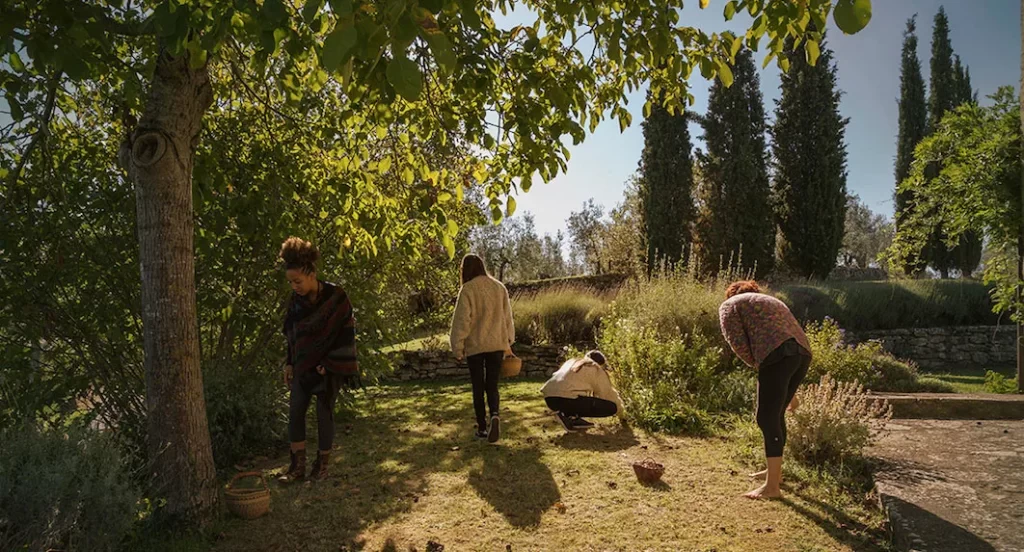 women picking up fruit and herbs from the garden