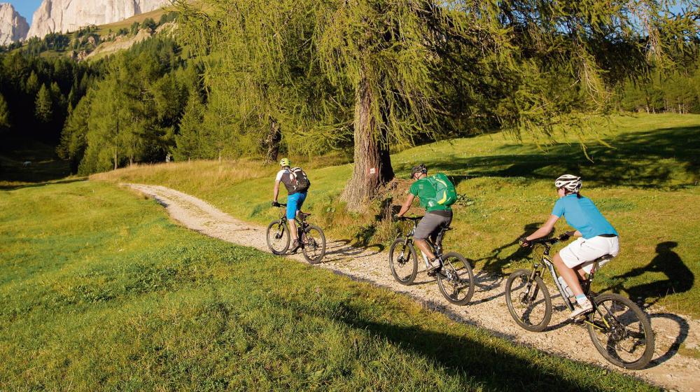 people cycling