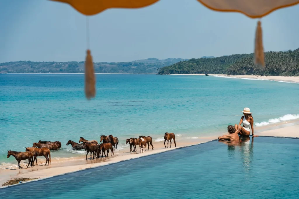 pool and horses on the beach