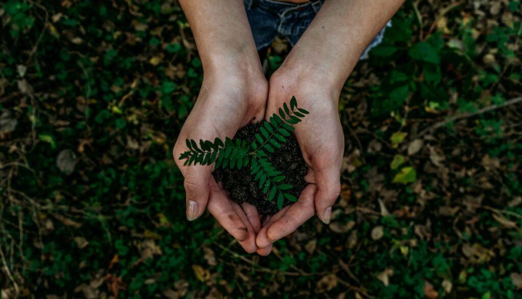 soil and hands