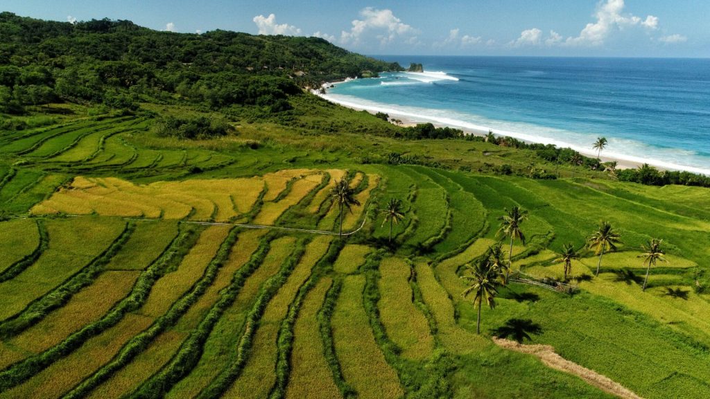 sumba island nature