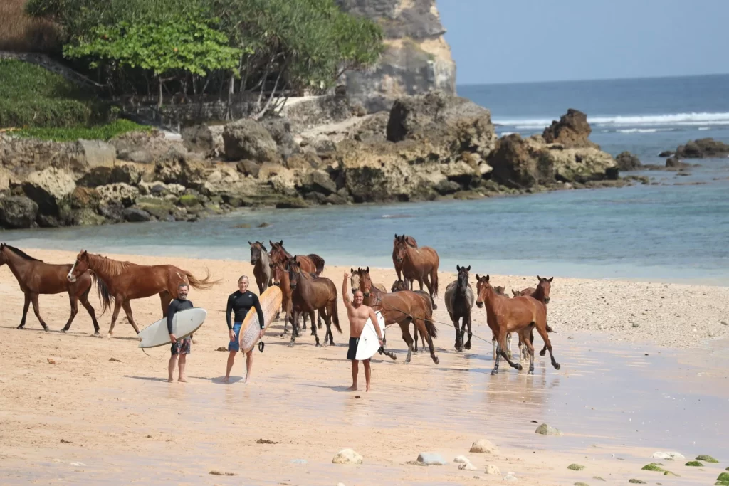 group of horses on the beach